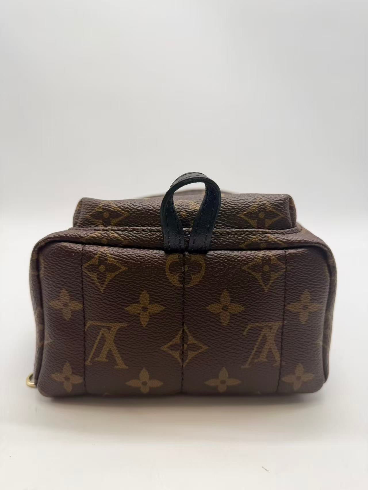 Louis Vuitton Monogram canvas Palm Springs Mini backpack LV1259