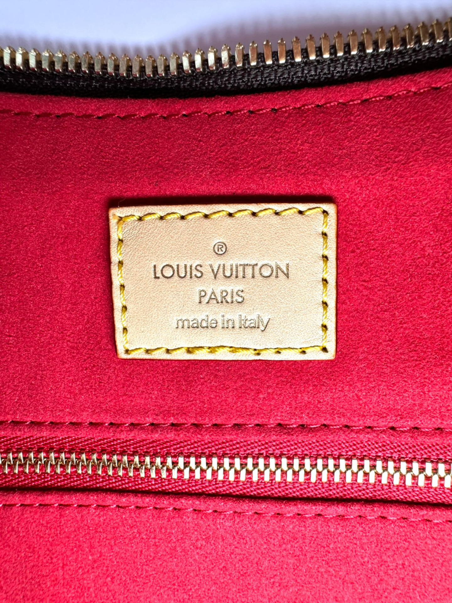 Louis Vuitton Monogram Canvas Hobo Bag LVP